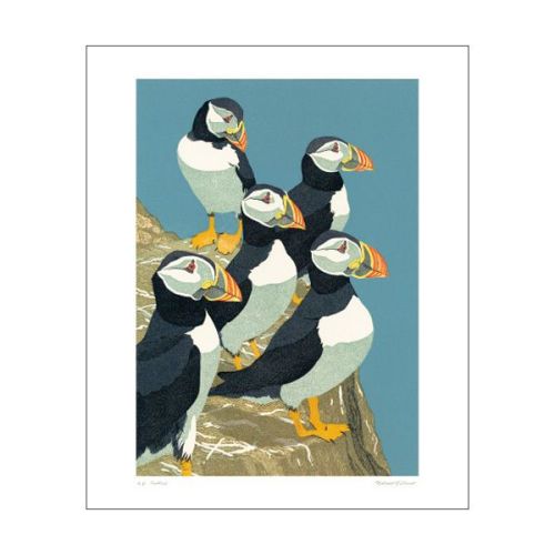 Robert Gillmor Puffins Greetings Card RG1030