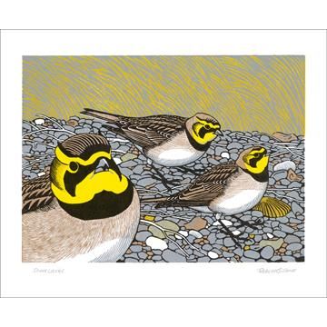 Robert Gillmor Shore Larks Greetings Card RG1850