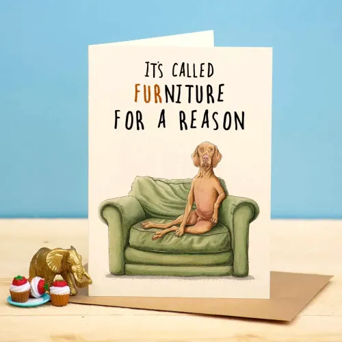 Bewilderbeest It's Called Furniture For a Reason Dog Greetings Card D19
