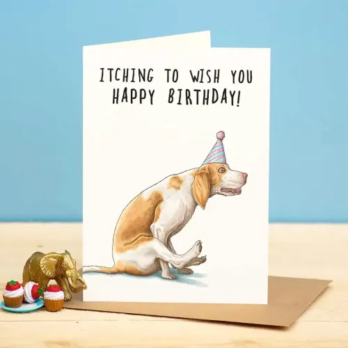 Bewilderbeest Itching to Wish You Happy Birthday Beagle Dog Card B29