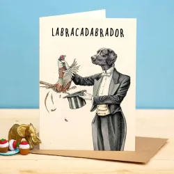 Bewilderbeest Labracadabrador Labrabor Greetings Card