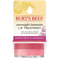 Burt's Bees Overnight Intensive Lip Treatement