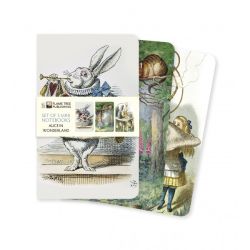 Alice in Wonderland Set 3 Mini Notebooks