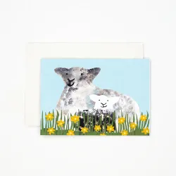 Hadley Spring Lambs Greetings Card