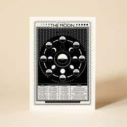 Pressed and Folded Phases of the Moon Greetings Card