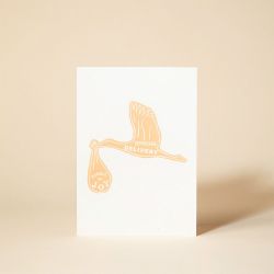 Pressed and Folded Special Delivery New Baby Card