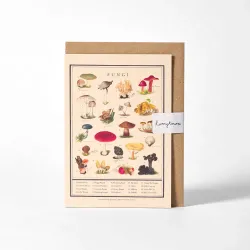 Roomytown Fungi Greetings Card