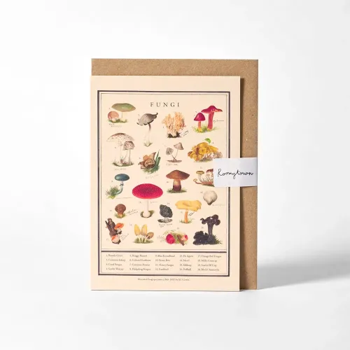 Roomytown Fungi Greetings Card
