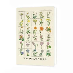 Roomytown Wildflowers Greetings Card