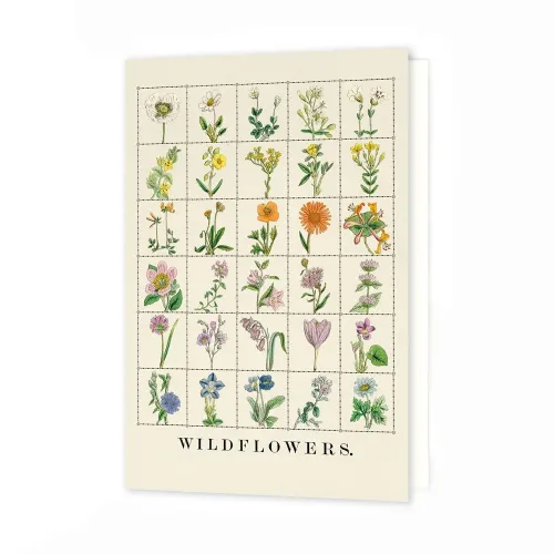 Roomytown Wildflowers Greetings Card