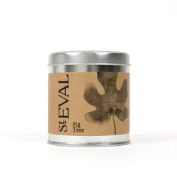 St Eval Fig Tree Scented Candle in Tin