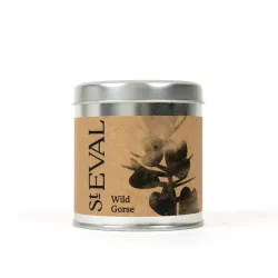 St Eval Wild Gorse Scented Candle in Tin
